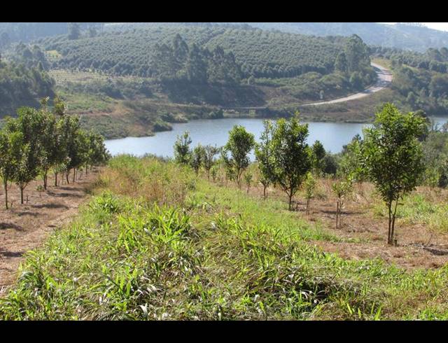 FARM FOR SALE IN WHITE RIVER RURAL